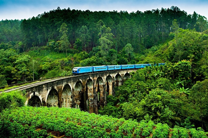 Ella Train