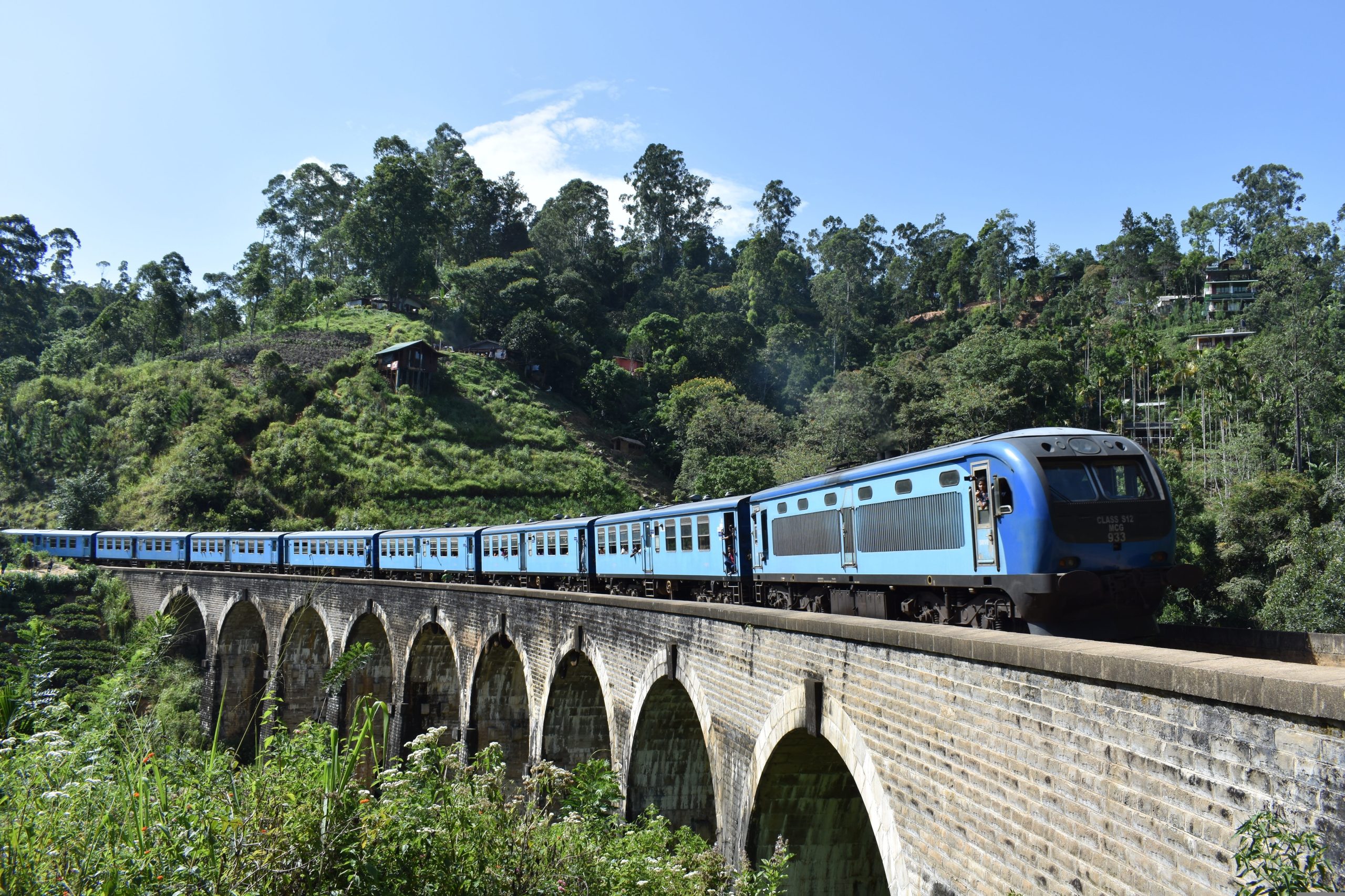 Ella Train