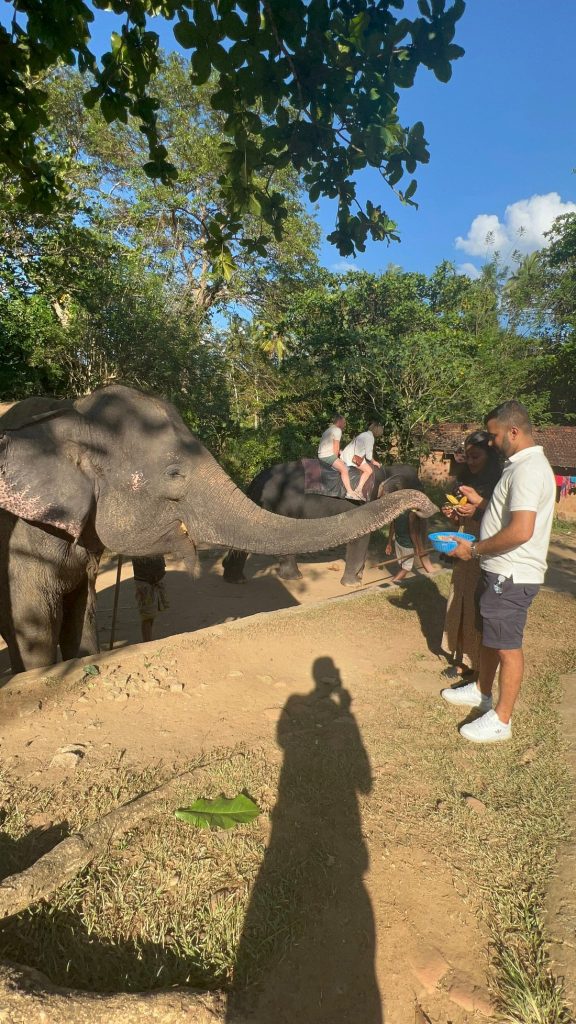 Ranjith Lion Tours